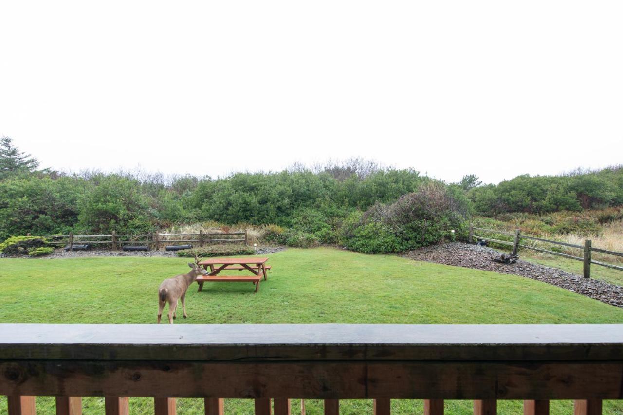 Aurora At Nautilus - Pet Friendly Oceanfront Condo Ocean Shores Eksteriør bilde